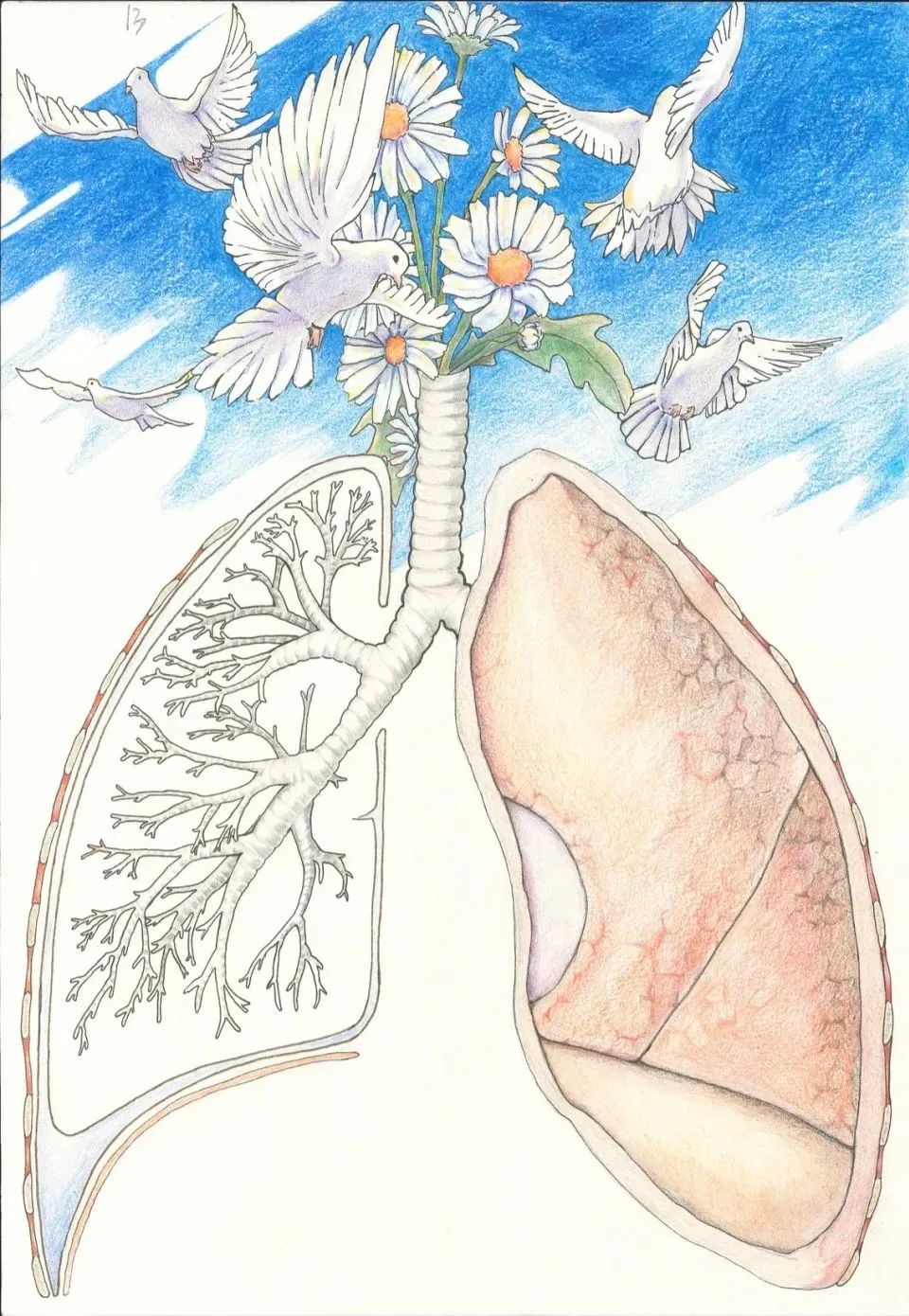 医学生优秀手绘图片